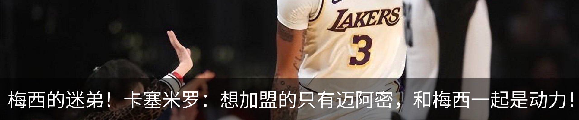 新闻动态