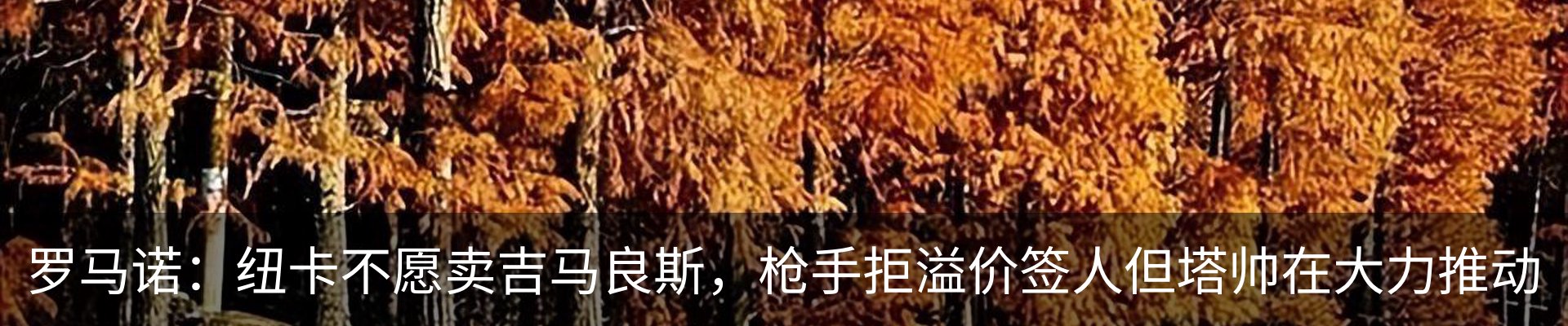 新闻动态