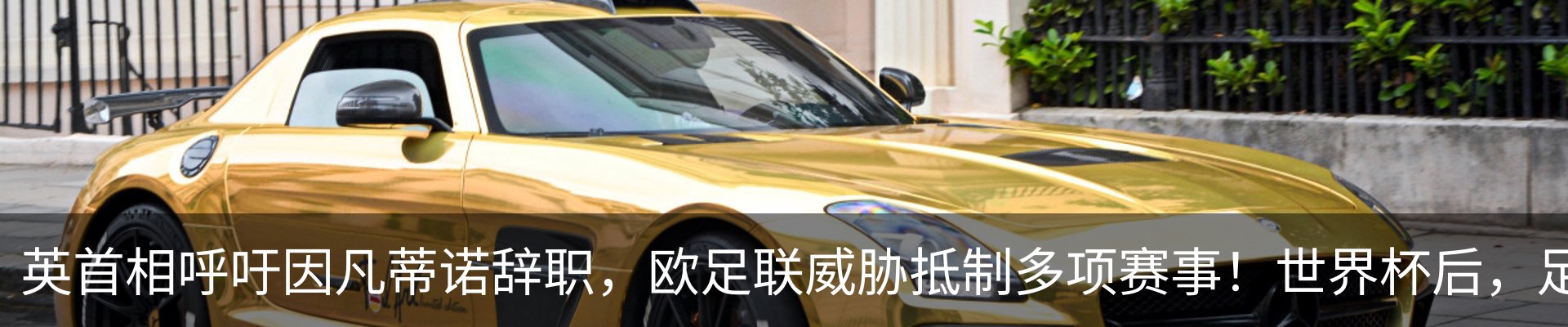 新闻动态
